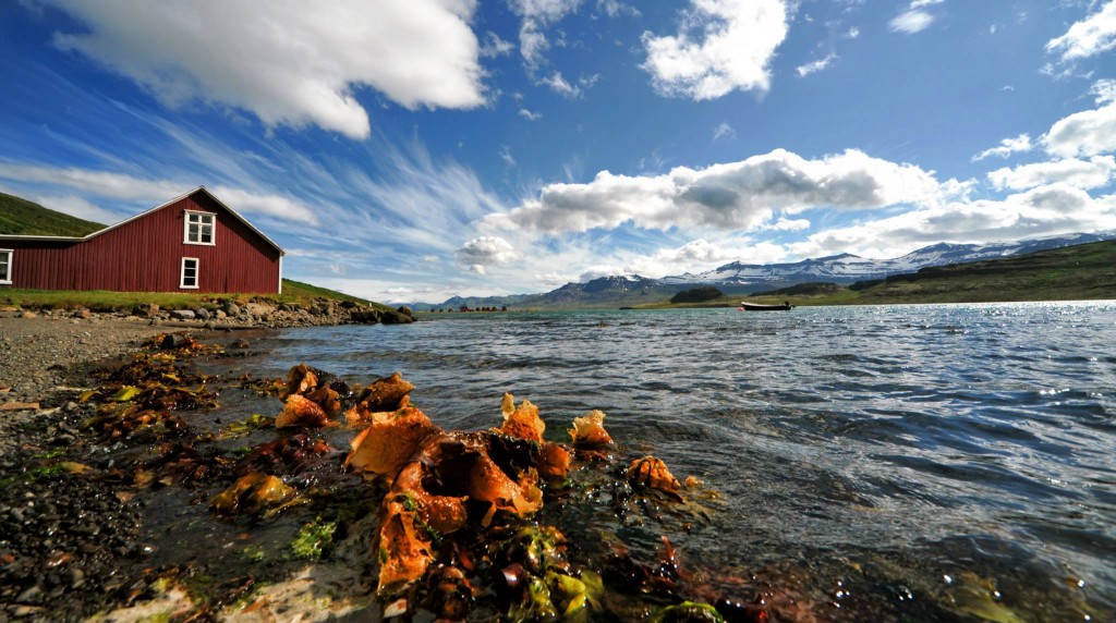 atli-börkur-seaside-eskifjordur-iceland
