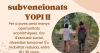 Camps de treball subvencionats YOPI II